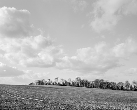 Three Rivers | The River Trent