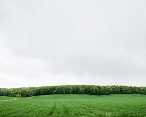 Three Rivers | The River Trent