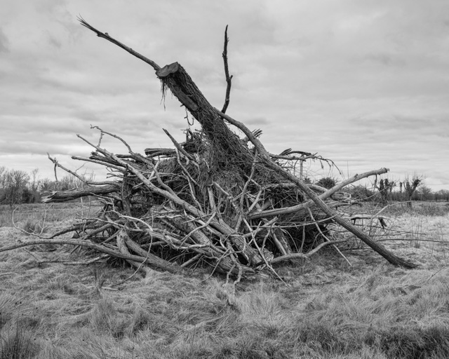 pyre