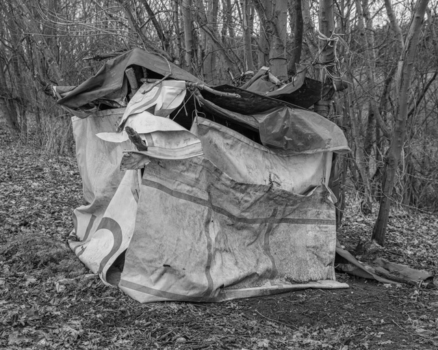 shelter
