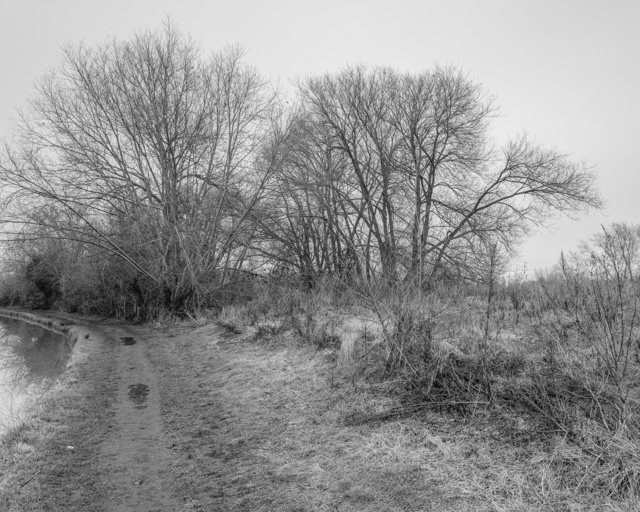 towpath
